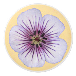 Den botaniska bleken - slösa pelargonblomman på knopp