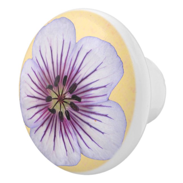 Den botaniska bleken - slösa pelargonblomman på knopp (Höger)