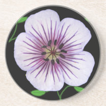 Den botaniska bleken - slösa pelargonblomman på