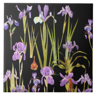 Den botaniska irisen blommar blom- Irises Kakelplatta