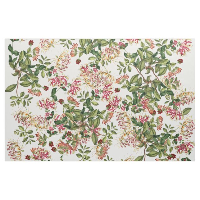 Den botaniska kaprifolvinen blommar blom- tyg (Yard)