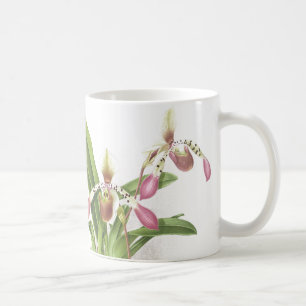 Den botaniska Ladys häftklammermatareorchiden Kaffemugg