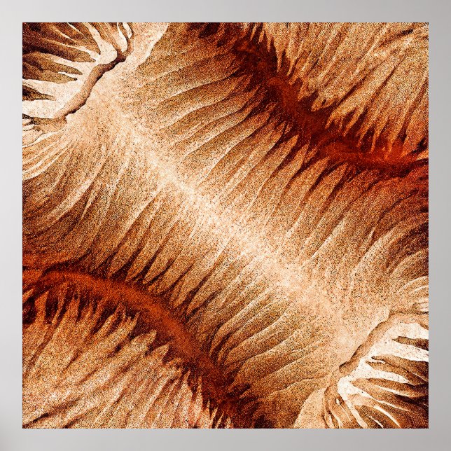 Den bräckliga rollen poster (Framsidan)