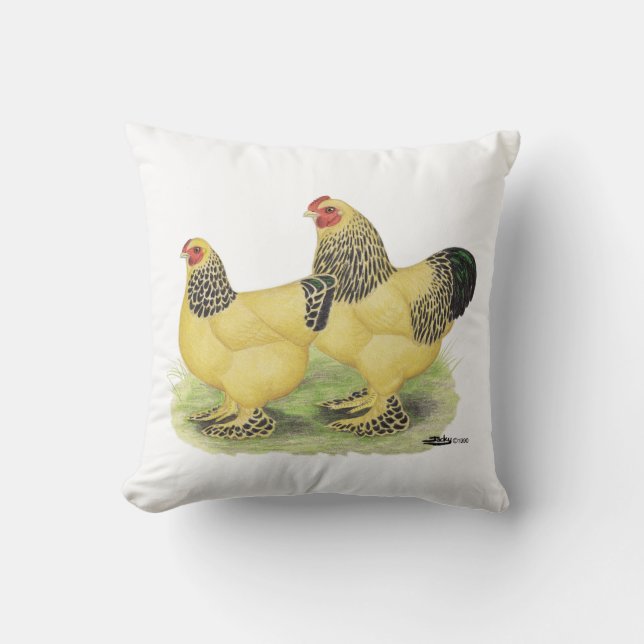 Den Brahma fantasten parar Kudde (Framsida)