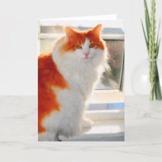 Den brännheta norska skogkatten noterar kortet kort