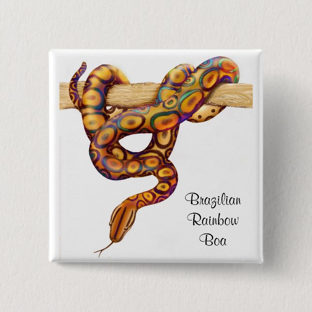 Den brasilianska regnbågeboaen klämmer fast knapp (Framsida)