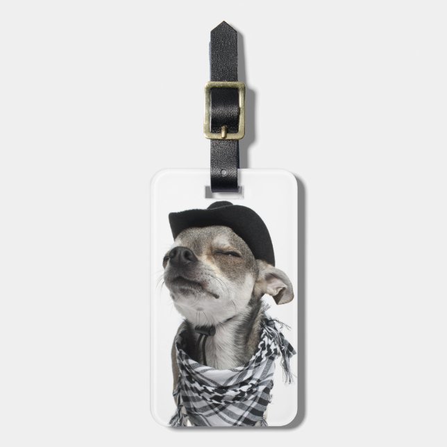 Den breda vinkeln av en Chihuahua med hans ögon Bagagebricka (Vertikal Framsida)