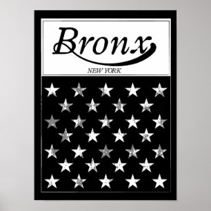 Den Bronx New York amerikanska flaggan Poster