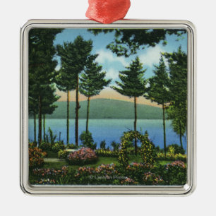 Den bruna svanen parkerar beskådar av sjön julgransprydnad metall