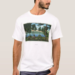 Den bruna svanen parkerar beskådar av sjön t-shirt