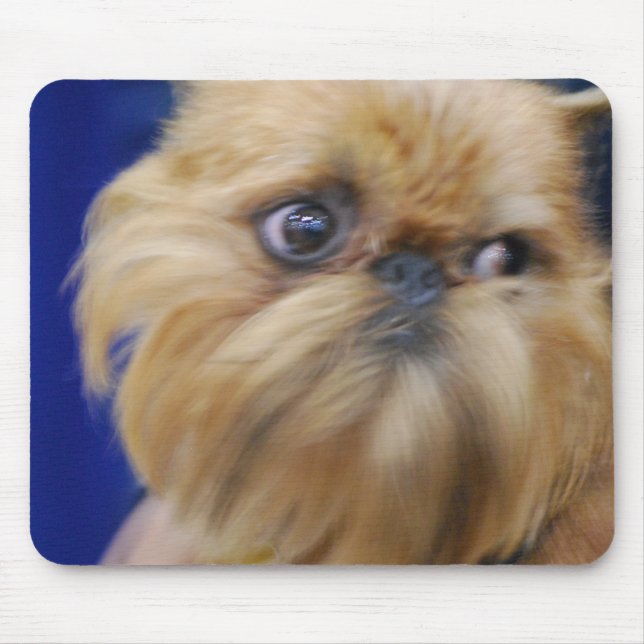 Den Bryssel Griffon hundmusen vadderar Musmatta (Framsidan)