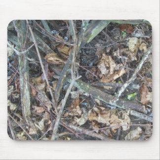 Den Camo musen vadderar Musmatta