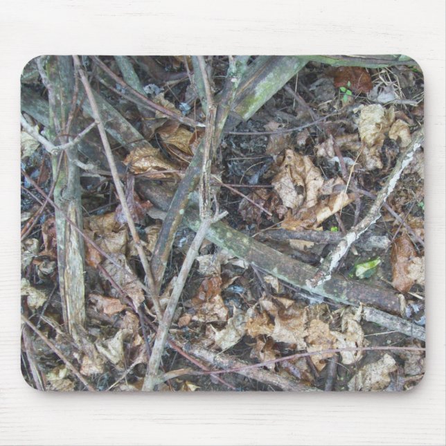 Den Camo musen vadderar Musmatta (Framsidan)