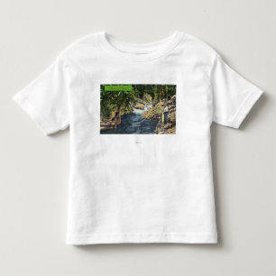 Den Capilano kanjonen beskådar av laxbassängen T-shirt