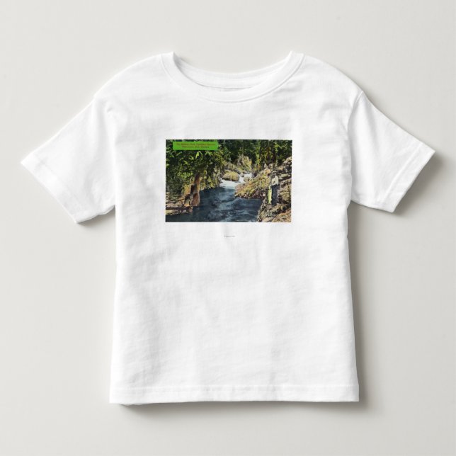 Den Capilano kanjonen beskådar av laxbassängen T-shirt (Framsida)