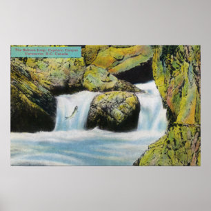 Den Capilano kanjonen beskådar av laxen som Poster