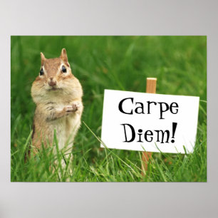 Den Carpe Diem jordekorren med undertecknar Poster