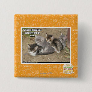 Den Caturday congaen fodrar Knapp