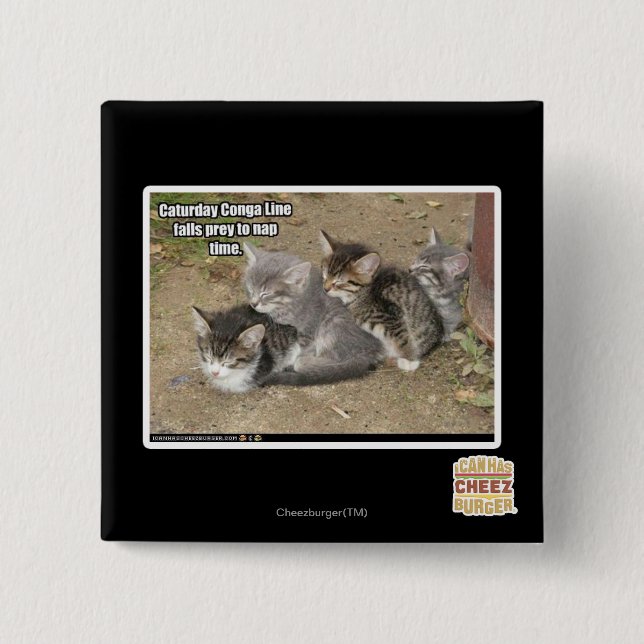Den Caturday congaen fodrar Knapp (Framsida)