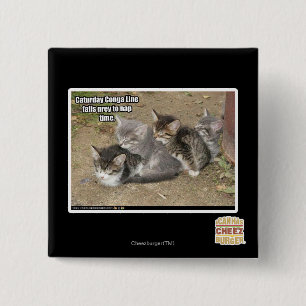 Den Caturday congaen fodrar Knapp