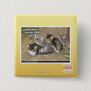 Den Caturday congaen fodrar Knapp