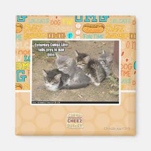 Den Caturday congaen fodrar Magnet