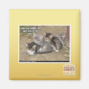Den Caturday congaen fodrar Magnet
