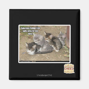 Den Caturday congaen fodrar Magnet