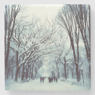 Den Central Park mallen i vinter Stenunderlägg