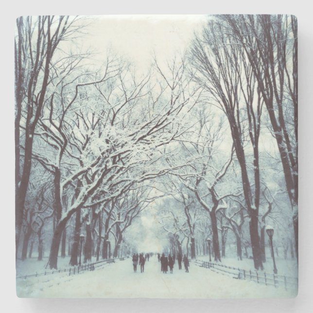 Den Central Park mallen i vinter Stenunderlägg (Framsidan)