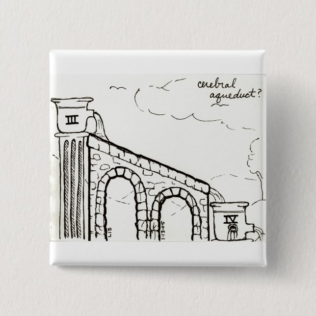 Den cerebrala akvedukten knäppas knapp (Framsida)