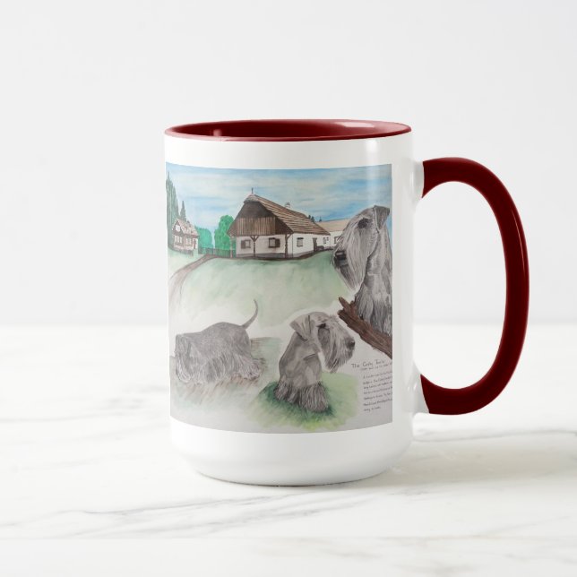 Den Cesky terrieren Mugg (Höger)