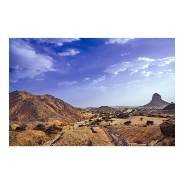 Den charmerande skönheten i ökennaturen under blåt fototryck (Framsidan)