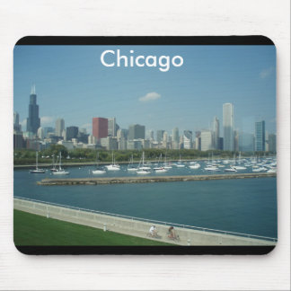 Den Chicago horisontmusen vadderar Musmatta