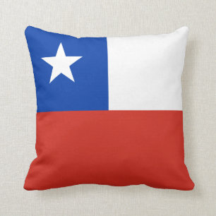 Den Chile flagga kudder Kudde