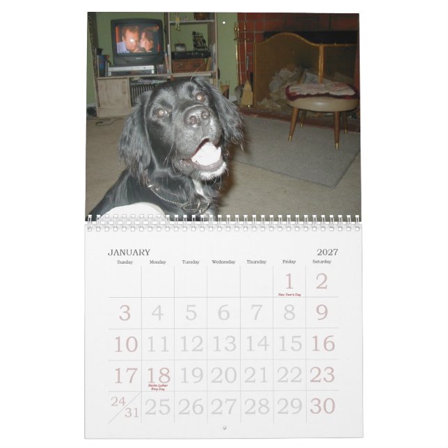 Den Cicoletti familjen Kalender (Jan 2027)