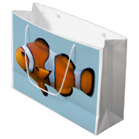 Den Clownfish gåvan hänger lös