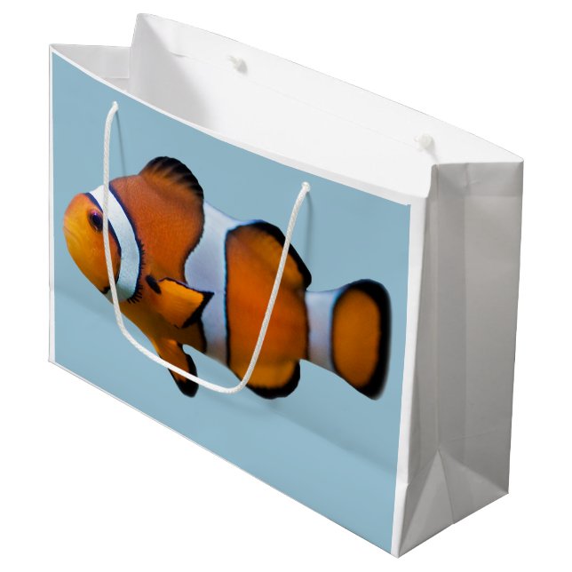 Den Clownfish gåvan hänger lös (Framsidan Vinklad)