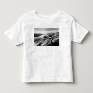 Den Columbia klyftan beskådar fotograferar Tee