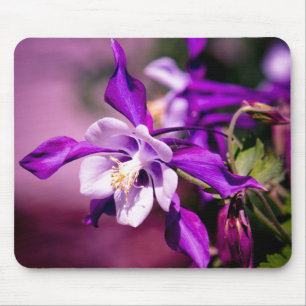 Den Columbine musen vadderar Musmatta