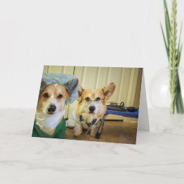 Den Corgidren och sjuksköterskan vilar och den Kort