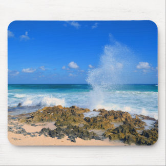 Den Cozumel Mexico stranden vinkar krickan för Musmatta