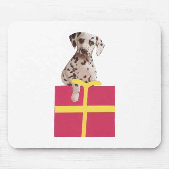 Den Dalmatian gåvan boxas Musmatta (Framsidan)