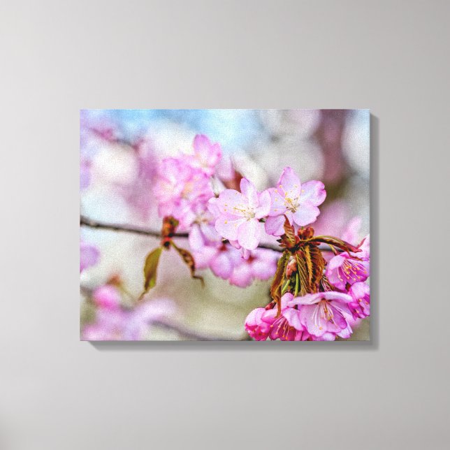 Den dämpade skönheten hos Sakura-blommor under vår Canvastryck (Framsida)