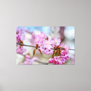 Den dämpade skönheten hos Sakura-blommor under vår Canvastryck