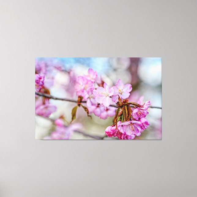 Den dämpade skönheten hos Sakura-blommor under vår Canvastryck (Framsida)