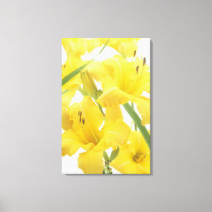 Den Daylilyblommor och blomman slår ut Canvastryck