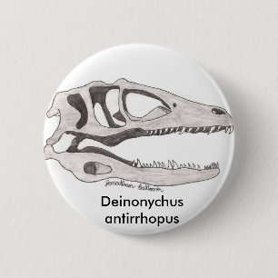Den Deinonychus antirrhopusen knäppas Knapp