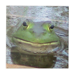 Den dekorativa grodan belägger med tegel kakelplatta