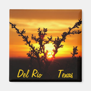 Den Del Rio Texas souveniröknen borstar solnedgå Magnet